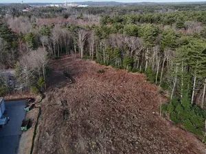 Land clearing on an IR Campbell site